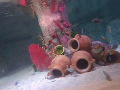 -沈阳海洋探索中心