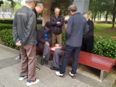 -中央公园(苏州工业园区)