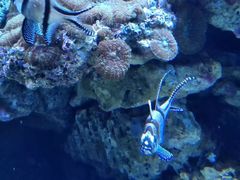 -成都浩海立方海洋公园