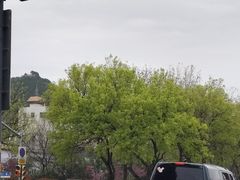 -山东大学(趵突泉校区)