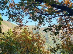 -北京十三陵国家森林公园蟒山景区