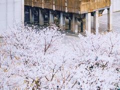 -龙美术馆(西岸馆)