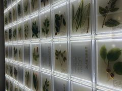 -广东中医药博物馆