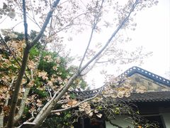 -何园