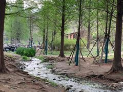 -白水寺森林公园