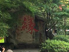 -杭州黄龙洞