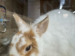 -大悦城(沈阳中街店)