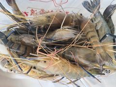 -侠成水上农庄(工业大道店)