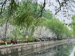 -元大都城垣遗址公园