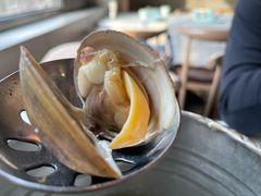 一桶黄蚬-渔娘渔家丹东海鲜(东直门店)