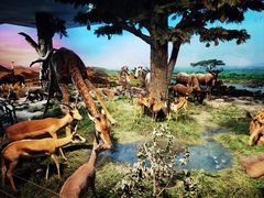 -国家自然博物馆