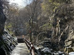 -秦岭风景区