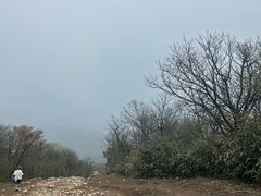 -安吉龙王山风景区