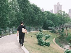 -洋湖国家湿地公园