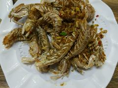 琵琶虾-东极岛海鲜