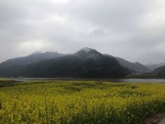 -新安江山水画廊风景区