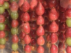 -云溪植物园