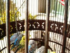 -老味道民宿(栈桥店)