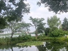 -金银湖国家城市湿地公园
