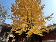 -南窖乡水峪村山情农家