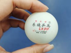 -乐旋乒乓球(广州西湾路店)