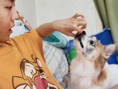 -达爱动物医院·犬猫分区·CT·复杂眼科(远洋山水分院)