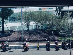 -棕榈MALL