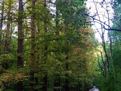 -国家植物园南园