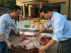 -诚明农家乐