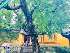 -惠山古镇·寄畅园