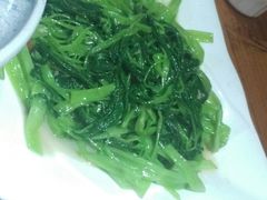 -优之名鹅城