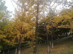 -鹦鹉寺公园
