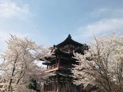 -西安青龙寺遗址景区