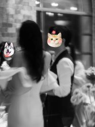 -MuseMarry婚纱(前海嘉里中心店)