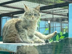 -青藏高原野生动物园