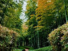 -天目湖涵田半山温泉