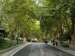 -石家庄市动物园