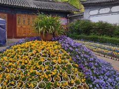 -黑龙潭公园
