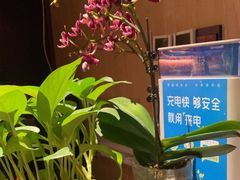 -聆耳·采耳·按摩·SPA(会展中心店)