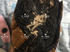 -花园饼屋·吐司蛋糕面包(星海店)