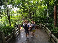 -海南分界洲岛旅游区