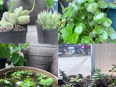 -川匠·睡眠采耳·SPA(九眼桥店)