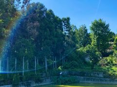 -铁山坪森林公园