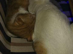 -星宿秘码(鼓浪屿老店)