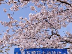 -上海辰山植物园