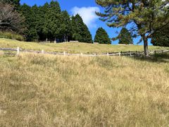 -神户市立六甲山牧场