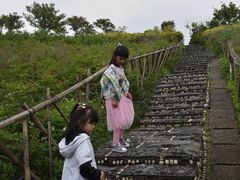 -东部华侨城
