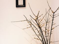 大堂-成都皈徕栖精品酒店(四川大学九眼桥店)