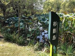-长兴太湖图影湿地文化园