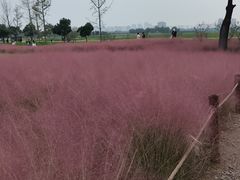 -汉长安城未央宫国家考古遗址公园